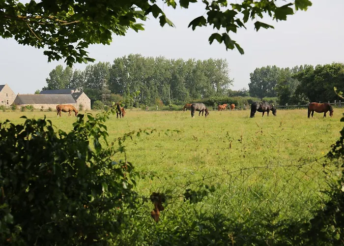 Le Beaupre Loft Vue Imprenable Reville